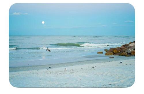 Jungle Terrace House | Long Term Rental In St Pete 10 mins from Treasure Island Pool Table, Games, Fire Pit FREE NETFLIX