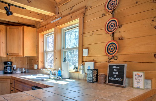 Sweetbriar Farms Cabin | Lost in Bearadise by Carolina Mornings | Game Room🎮 & Hot Tub♨️🐻