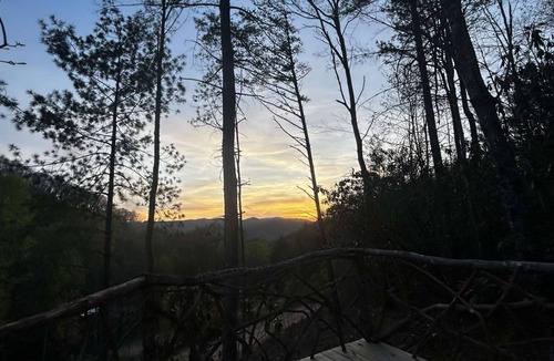 Butler Cabin | Love Shack at Buckridge Mountain with unbelievable mountain views and sunsets!