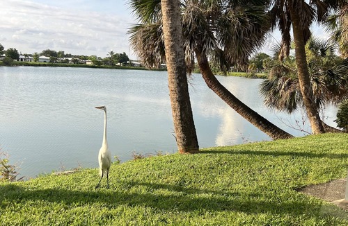 Laurel House | LUSH WATERFRONT HEATED POOL HOUSE! CUL-DE-SAC! NORTH JETTY BEACH! SIESTA BEACH!