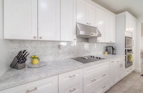 Tampa House | Luxury 3/2 with Pool, Outdoor Kitchen, Steps off Bayshore