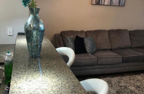 Dunwoody Apartment | Luxury Perimeter Center Apartment