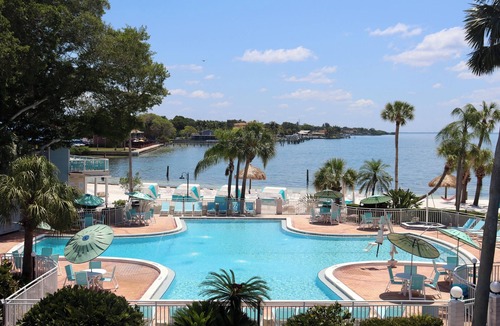 Pinellas Point House | Luxury Seaside Stay! Private Beach, Outdoor Pools, Pets are Welcome!