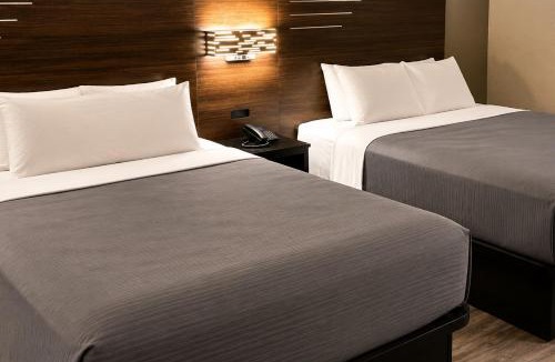 Manchester Hotel | LX Hotel, SureStay Collection by Best Western