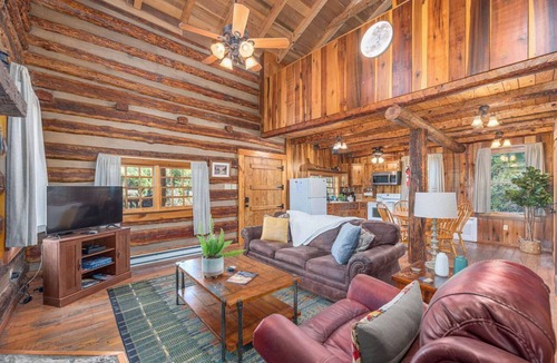 Hot Springs Cabin | Magical Cabin - River Access - Minutes from Town
