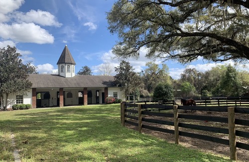 Summerfield House | Magnificent Thoroughbred Farm in the heart of Florida Horse Country. Stalls too!