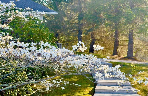 Scaly Mountain House | Manor House and Bungalows @Fire Mountain Estate & Club
