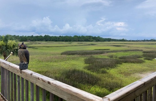 St. Augustine House | Marsh Views Surround, Water Activities Abound at Cozy Home 10 mins from St. Aug