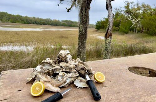 Edisto Island House | Marshfront Villa In The Trees - Near Beach & Bay