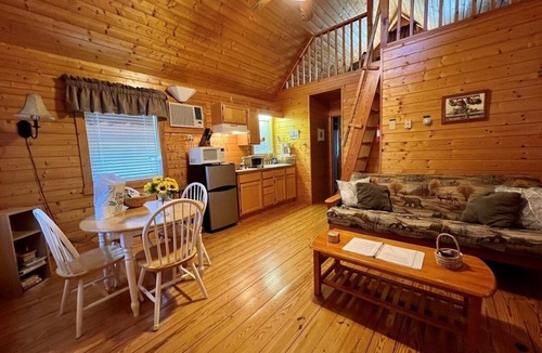 Laurel Springs Cabin | Meadow View- Firepit, Cozy Cabin, WIFI, Pond, Gas Fireplace, off Blue Ridge Parkway