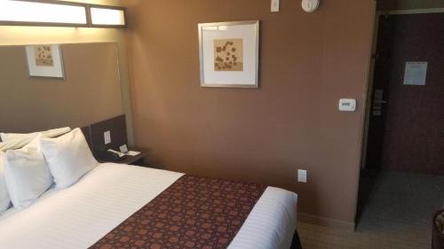 Shelbyville Hotel | Microtel Inn & Suites by Wyndham