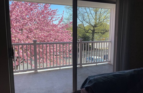 Elkins Park Apartment | Modern 2BR/2BA | Extended Stay Discounts