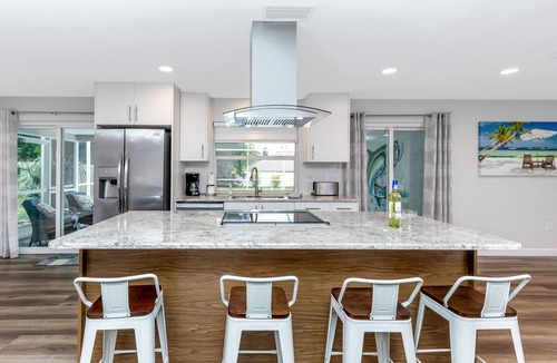 Tarpon Springs House | Modern House, Heated Pool, Fenced, Beaches, Relax