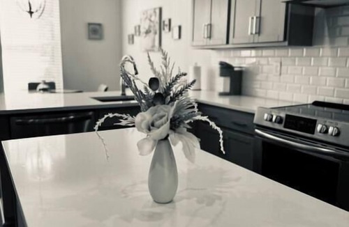 Charlotte House | Modern LoSo Retreat|Walk to Breweries & Light Rail