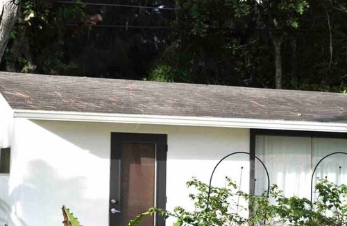 Whitfield Villa | Modern Studio Near SRQ Airport