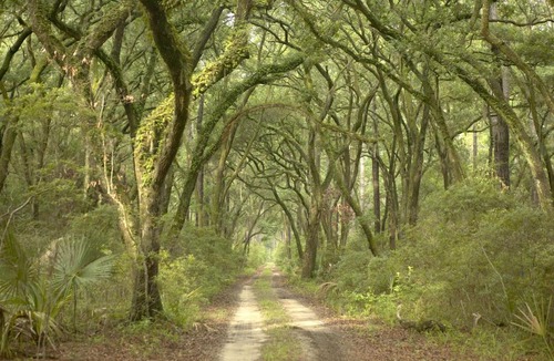 Palmetto Bluff Hotel | Montage Palmetto Bluff
