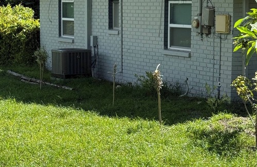Moon Lake Estates Cottage | Moon Lake Cottage Retreat in New Port Richey - 3 br/1bath w/RV Access!