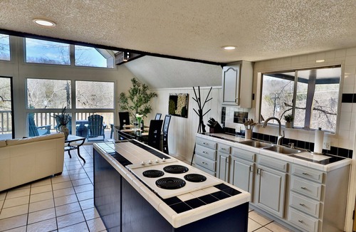 Marble Falls Ski Chalet | Mountain Chalet for 8 - Near Hiking & Buffalo River + Full Coffee Bar & Kitchen