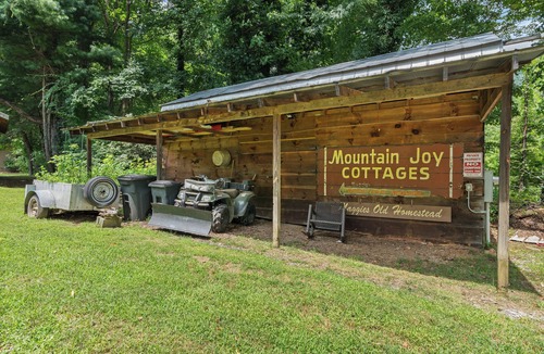 Maggie Valley Cabin | Mountain Joy Cottage #9 # BR log cabin
