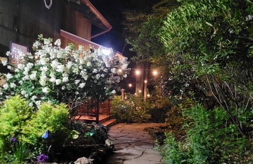 Sylva Cabin | Mountain Top Cabin with a View that is Centrally Located in Western Carolina.