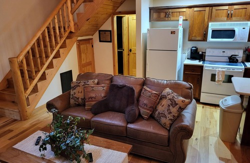Canton Cabin | Mountainside cabin along the Pigeon River - Pickleball court on-site