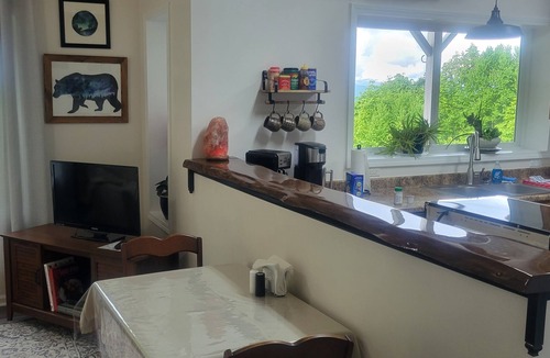 Rosman Apartment | Mountaintop suite, mountain views, one level, King bed, pet friendly, accessible