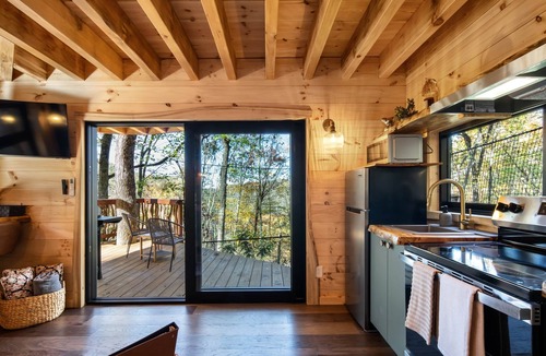 Franklin Cabin | Mushroom-Inspired Treehouse with Living Roof - The Mēos