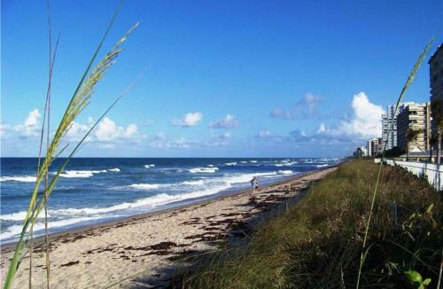 Nettles Island Other | Nettles Island 0057