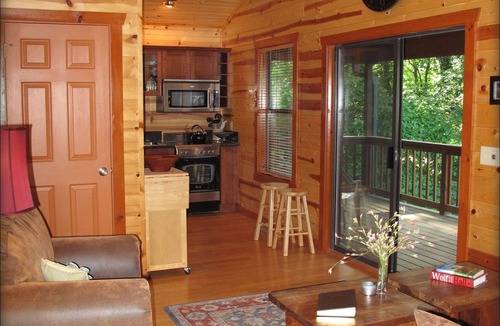Norfork Cabin | North Fork River—Beautiful Private Cabin on the North Fork River Trophy Waters!