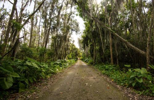 Haines City Other | Oak Harbor RV Park