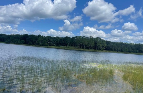 Ocklawaha Other | Ocala Farm Lake House