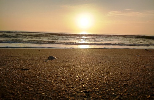 Satellite Beach Apartment | Ocean Front Complex -Beautiful Ocean Views! Can't Get Any Closer To The Ocean!