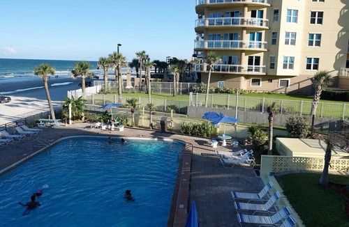 Daytona Beach Condo | Ocean View Studio Condo - turtle