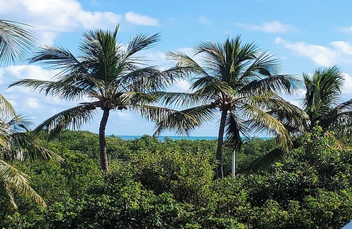 Key Largo Condo | Oceanfront Community, Luxury,Beach,Pools, TOP AMENITIES & VALUE in FLORIDA KEYS