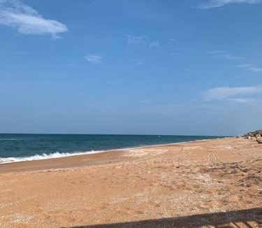 Ormond-by-the-Sea Apartment | Ormond Beach, fun & loving sun!