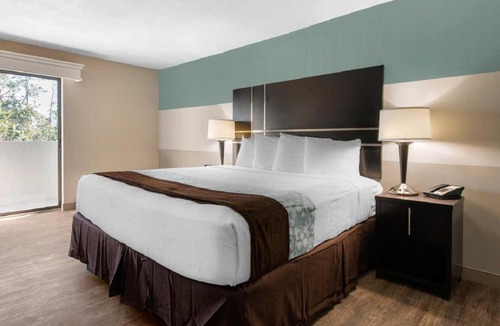 Kissimmee Hotel | Palazzo Lakeside Hotel