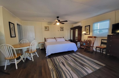 Tarpon Springs House | Palm Cottage * King Bed * Tropical Yard