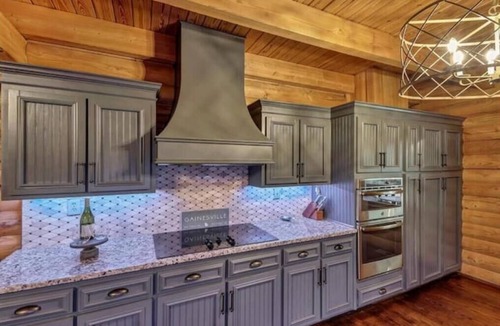 Gainesville Cabin | Peaceful, Waterfront Luxury Cabin w/party dock & hot tub near new Olympic Park
