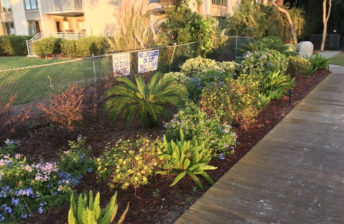 Hilton Head Island Condo | Perfect Beachfront Condo...2 Bikes Included