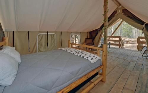 Suches Other | Pet-Friendly Glamping Retreat: Safari Tent Getaway in Suches, Georgia