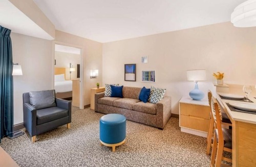 Arrowood Hotel | Pet-Friendly Suite Designed for Convenience Close to Charlotte's Top Spots