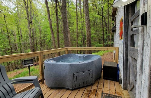 Suches Cabin | Pet-Friendly Tiny Home Rental in the Chattahoochee National Forest, for Glamping in Georgia