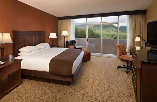 Gatlinburg Hotel | Pets Allowed, Indoor Swimming Pool! Gatlinburg's Hidden Gem!