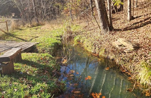 Seymour RV Rental | Picteresque 1-bedroom Glamp cabin on Bear Hollow Reserve. Hike. Feed fish. Camp