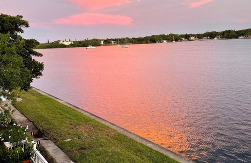 Coquina Key Apartment | Piece of paradise in Saint Pete