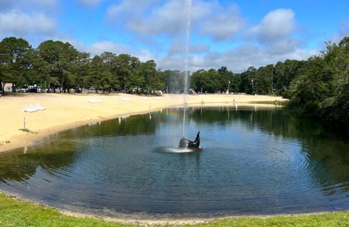 South Seaville Hotel | Pine Haven