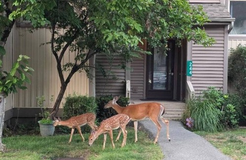 East Stroudsburg House | Pocono Mountains Escape - 2 Bedroom, 2.5 Bath, private townhome with wood-burning fireplace