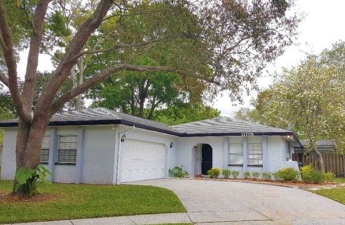 Carrollwood House | Pool home ⭐ Premier Partner