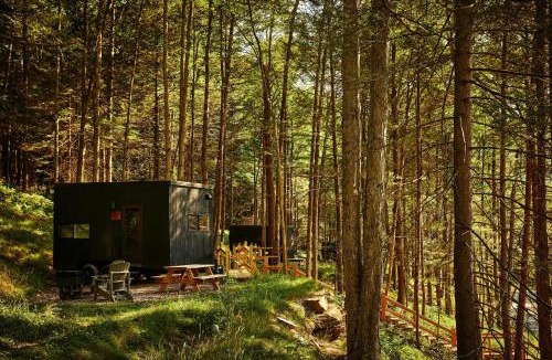 Gilchrist County Other | Postcard Cabins Gilchrist Springs, Outdoor Collection by Marriott Bonvoy