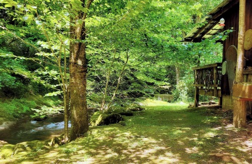 Robbinsville Cabin | Private Creekside Cabin Waterfall Hot Tub Lake Access